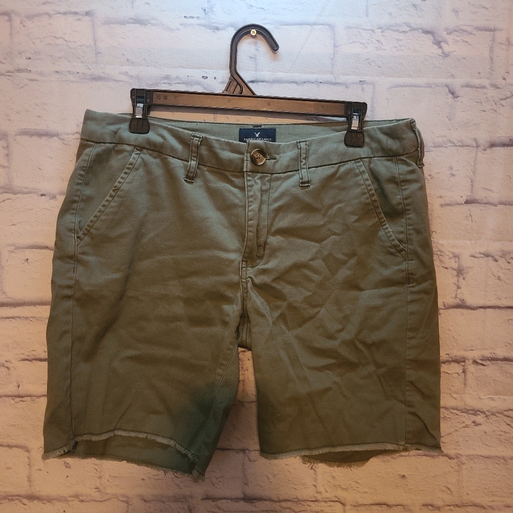 American Eagle Outfitters Olive Green Men's Shorts
